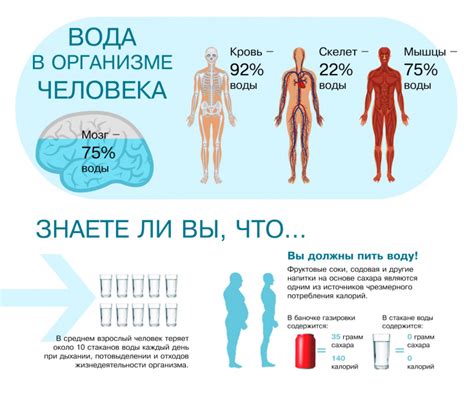 Недостаток регулярной смены воды