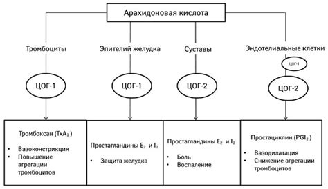 Недостаточное воздействие на кардиоваскулярную систему