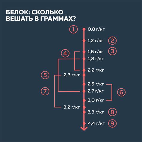 Необходимое количество белка в ежедневной диете