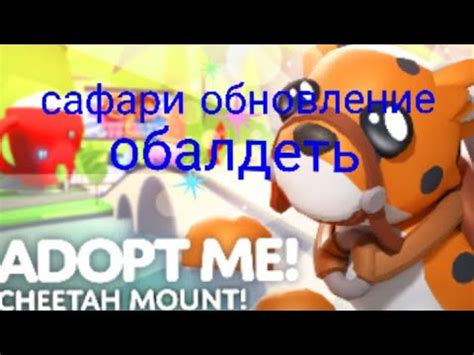 Необходимость обновления Сафари