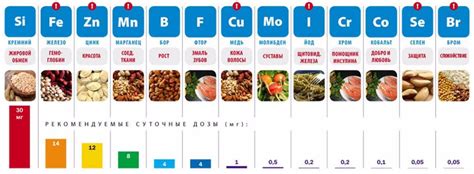 Необходимые микроэлементы