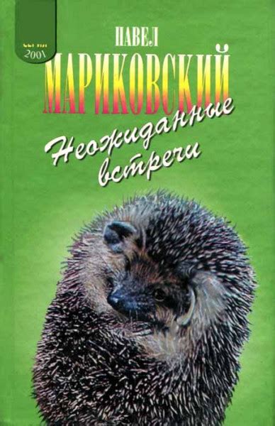 Неожиданные встречи с птицами: причины и возможные последствия