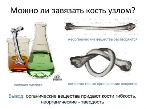 Неорганические компоненты костей