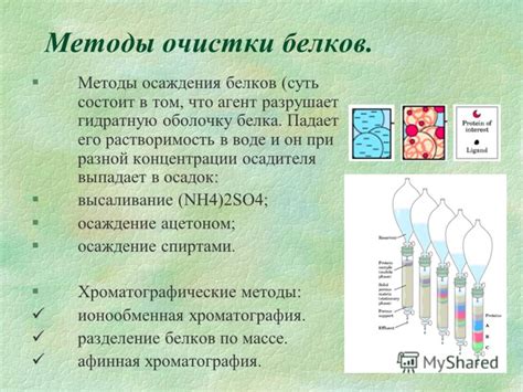 Неправильные кулинарные методы обработки белков