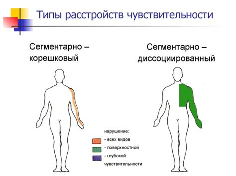 Непроизвольные движения и чувствительность