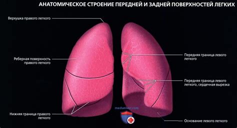 Неразборчивое изображение в области легкого