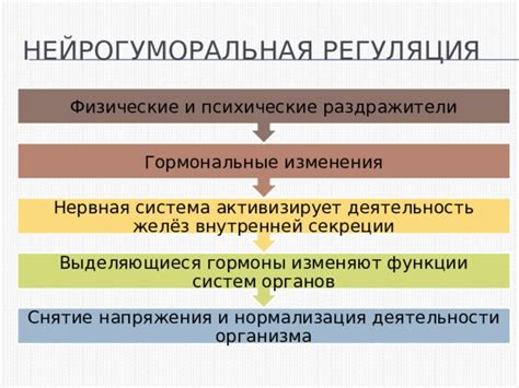 Нервная система и гормональные изменения