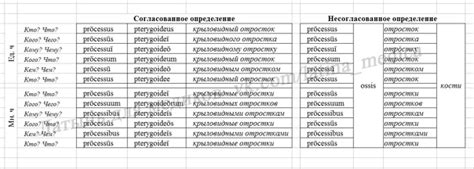 Несогласованное определение в латинском языке: явления и проявления