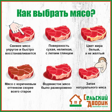 Не выбрасывайте протухшее мясо без проверки