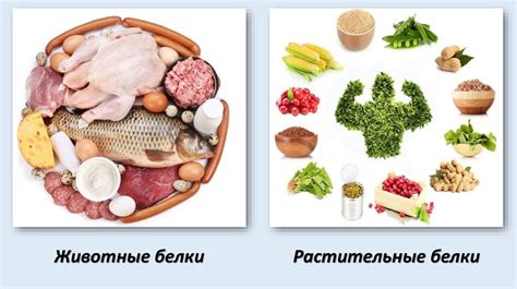 Не забывайте о мясе и рыбе - источниках важных витаминов