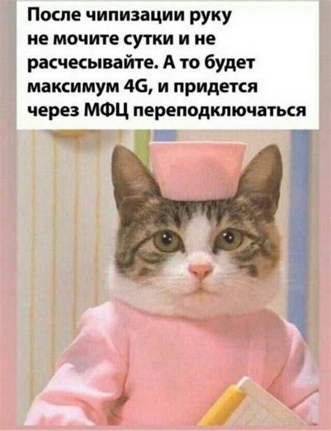 Не мочите руки