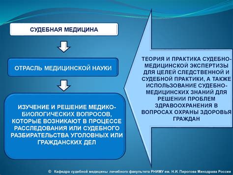 Области применения судебно-медицинской экспертизы