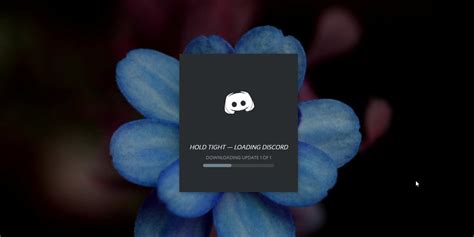 Обновите Discord до последней версии