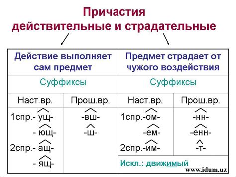 Образование и формы страдательного причастия