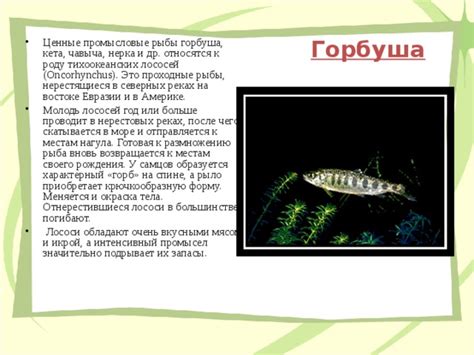 Образование нерестовых грудей у самцов