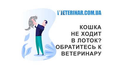 Обратитесь к ветеринару, если проблема не исчезает