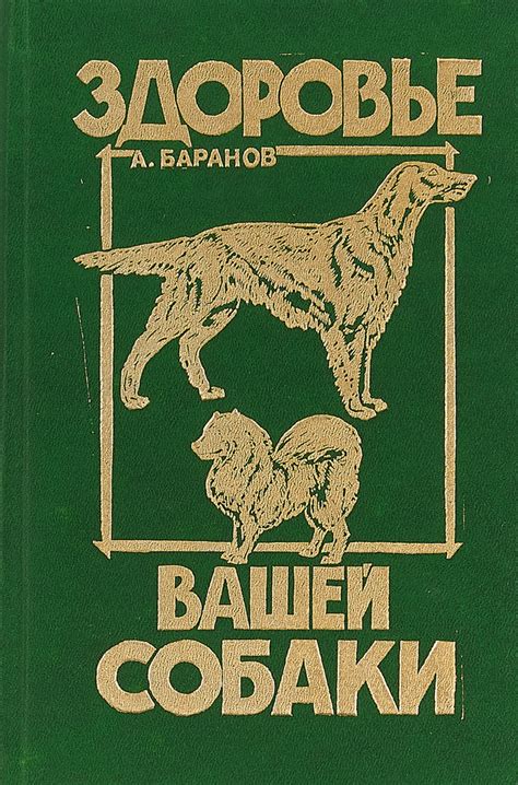 Обратите внимание на здоровье вашей собаки