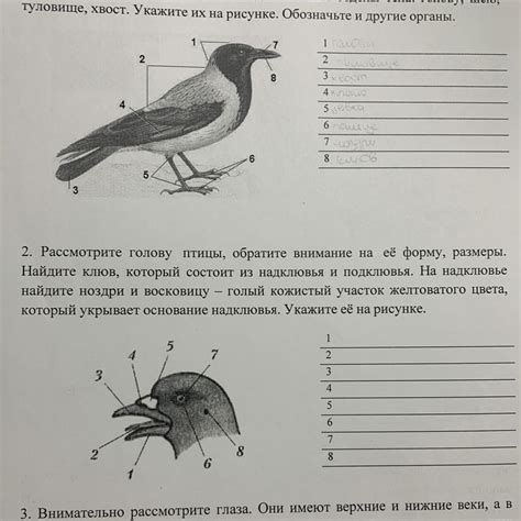 Обратите внимание на форму и размеры