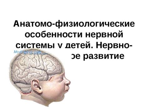 Обследование нервно-соматической гормональной системы у детей