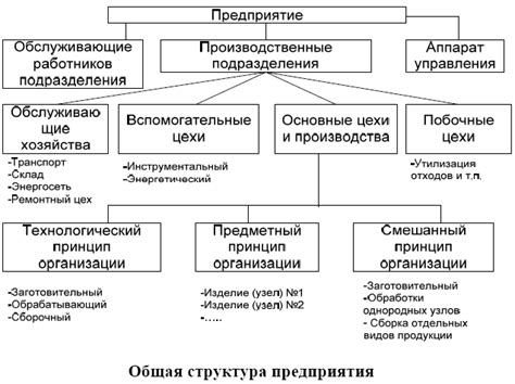 Общая структура