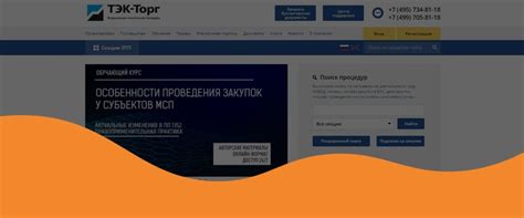 Общие особенности ЕИ поставщика в ТЭК