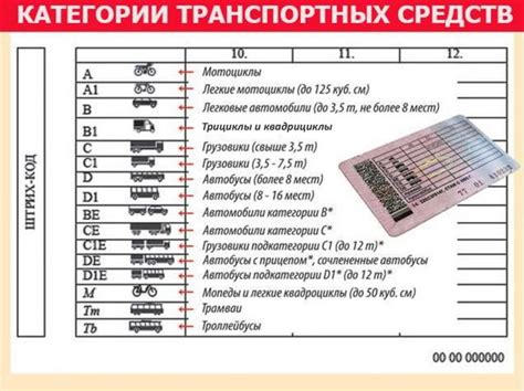 Общие сведения о категории B1