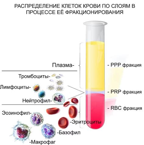 Объем и цвет выделяющейся крови