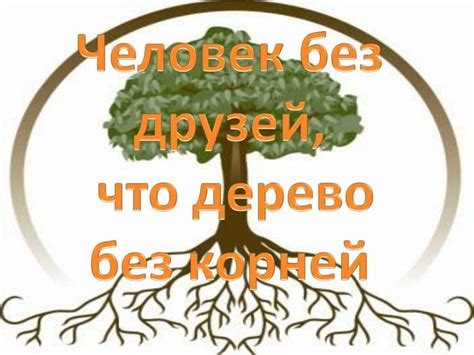 Один без друзей: как не стать деревом без корней