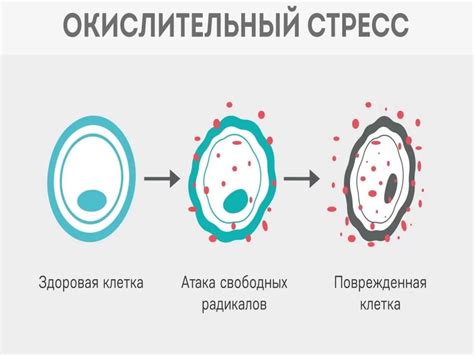 Окислительный стресс и обезвоживание