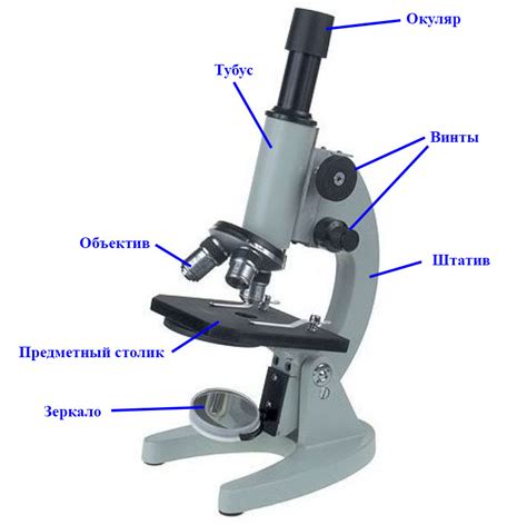 Окуляр микроскопа: функции и устройство