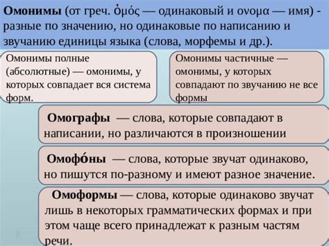 Омонимия в русском языке: особенности и примеры