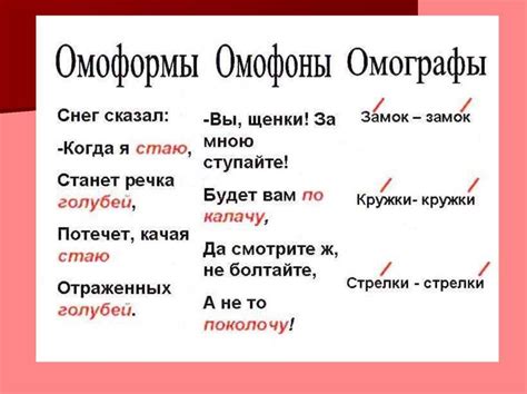 Омонимы: основные понятия и примеры