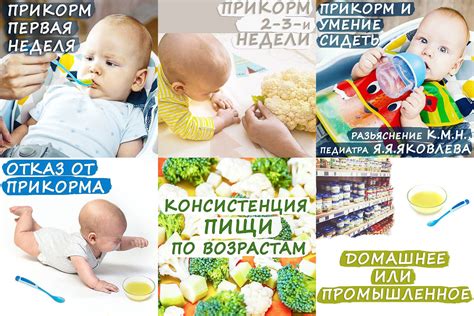 Опасные продукты для ребенка в 6 месяцев