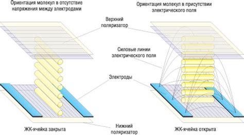 Описание матрицы IPS и ее характеристики