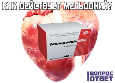 Описание мельдония