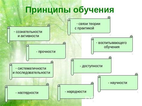 Описание процесса обучения