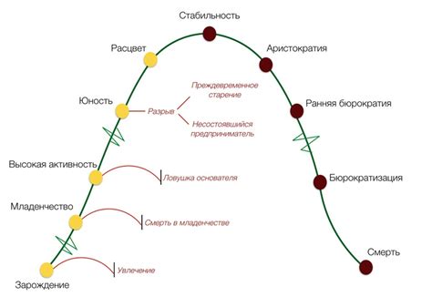 Определение жизненного цикла