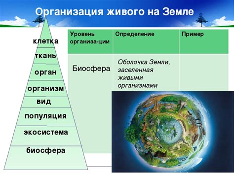 Определение и классификация биосферы