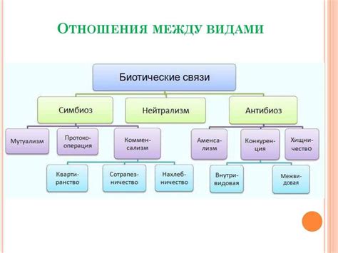 Определение и классификация биотических факторов