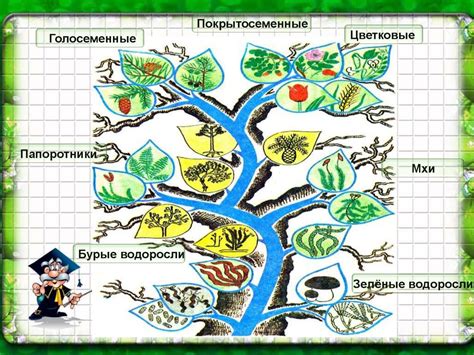 Определение и классификация видов