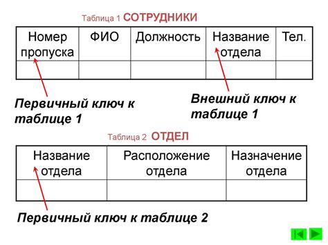 Определение и назначение поля в базе данных