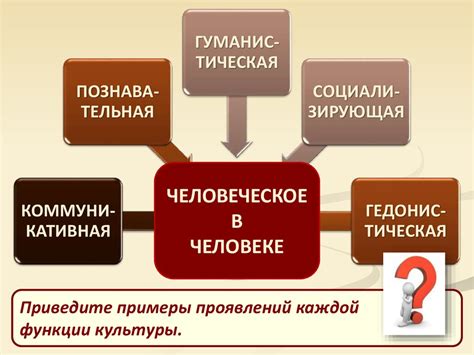 Определение и разновидности