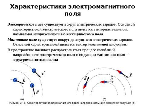 Определение и свойства электромагнитного поля