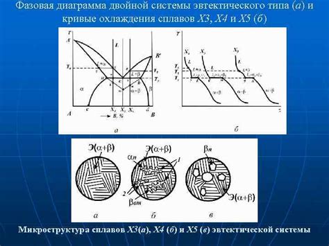 Определение и суть фазы компонента