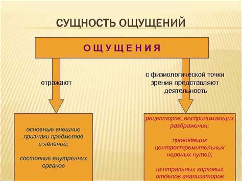 Определение и сущность ощущений