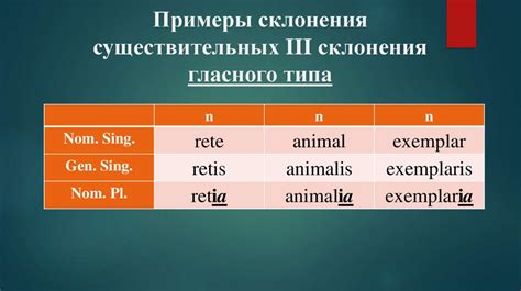 Определение множественного числа существительных: понятие и значение