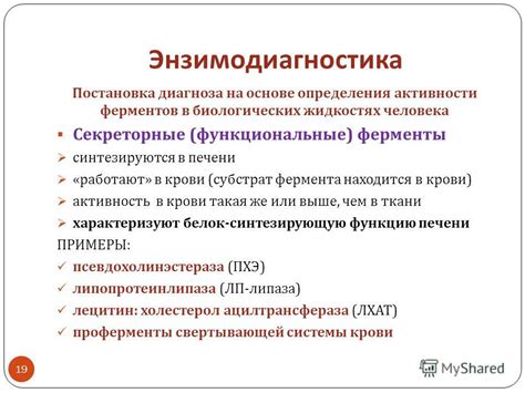 Определение термина vdd