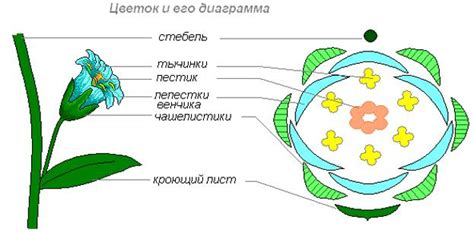 Определение увядания