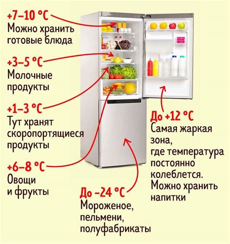 Оптимальная температура и сохранность продуктов