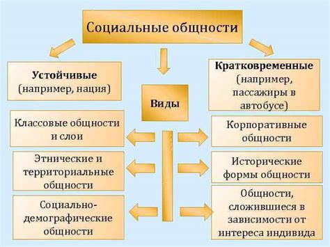 Организации общества: виды и цели